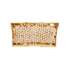 Medaus koriukas rėmelyje 200 g